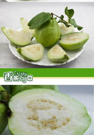 海南珍珠石榴 不僅是熱帶風(fēng)情，更是健康味道源頭